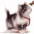 research paper calvinism - 264.gif